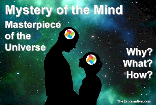 Mystery of the Mind, Masterpiece of the entire Universe: Why does it exist? What's its purpose? How does it work?