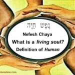 Nefesh chaya. What is a living soul? The definition of what it is to be human.