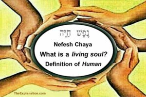 Nefesh chaya. What is a living soul? The definition of what it is to be human.