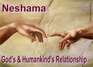 Neshama is the divine essence God breathed in the first man that defines His relationship with all humans.