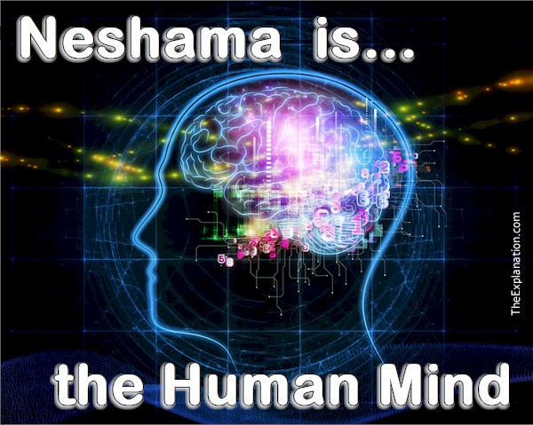 Neshama Meaning? The God Given Human Mind