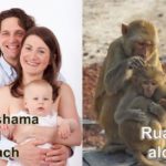 Neshama and Ruach are the components that make humans human. While animals only possess Ruach.
