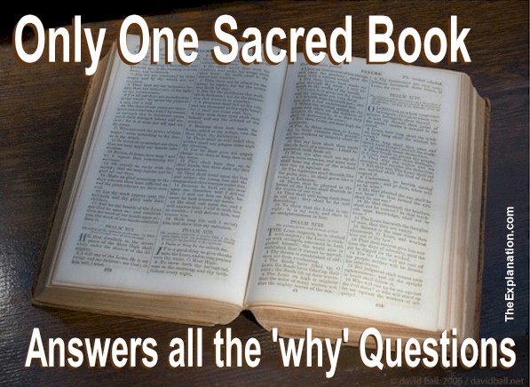 Why would I focus on the Bible? Of all the Sacred Books could it be the only one to answer all the 'why' questions?