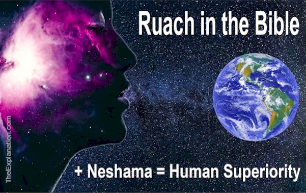 Ruach in the Bible + Neshama = human superiority.