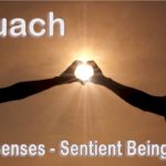 Ruach. At the origin of intangible senses. Senses are the reason living beings are sentient beings.