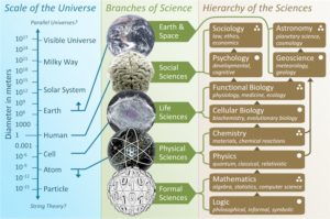 Branches of Science and related fields