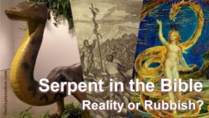 Serpent in the Bible-Reality of Rubbish. Whether you believe it or think it's a fairytale, it's worth knowing what the Biblical Hebrew has to say.
