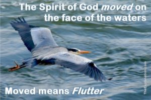The Spirit of God moved on the face of the waters. The specific meaning of the Biblical Hebrew word 'moved' is to flutter.