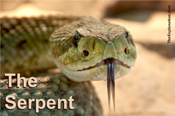 The Serpent in the Bible. Down through history he is presented at the arch-enemy of God, as a fallen angel due to his vanity. But as the same time a highly intelligent and creative being.