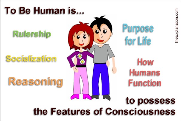 To be human is to possess the features of consciousness