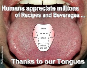 With hundreds of thousands of ingredients worldwide used for recipes and beverages, only our tongues allow us to appreciate and enjoy the textures and flavors.