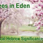 The Trees in Eden. Learn the powerful implication of the meaning of the Biblical Hebrew word for tree
