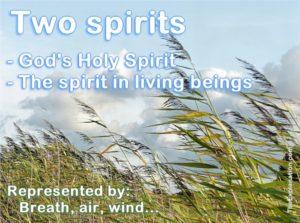 Two spirits. God's Holy Spirit and the spirit in all living beings. Represented by breath, air, wind.