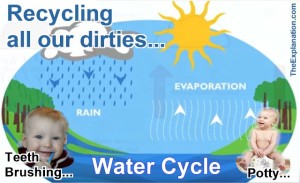 The Water Cycle: Life's activities - brushing our teeth and potty training - changes clean water into used or dirty water and round and round it flows again